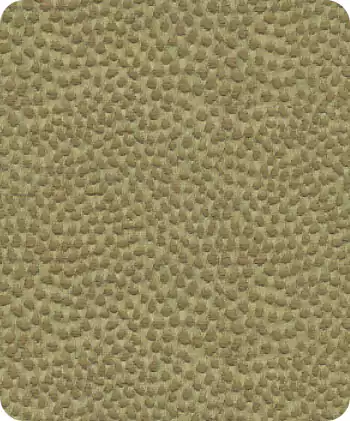 Curtains Abudhabi Ostrich Olive